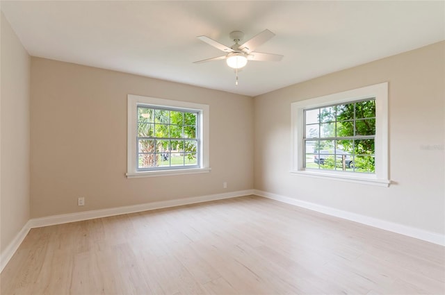3101 55th Ave N, Saint Petersburg, FL 33714 - photo 21