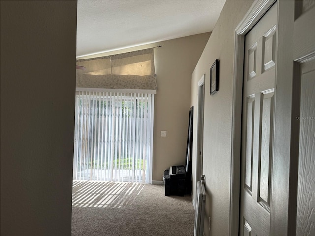 6321 S Richard Ave, Tampa, FL 33602 - photo 24
