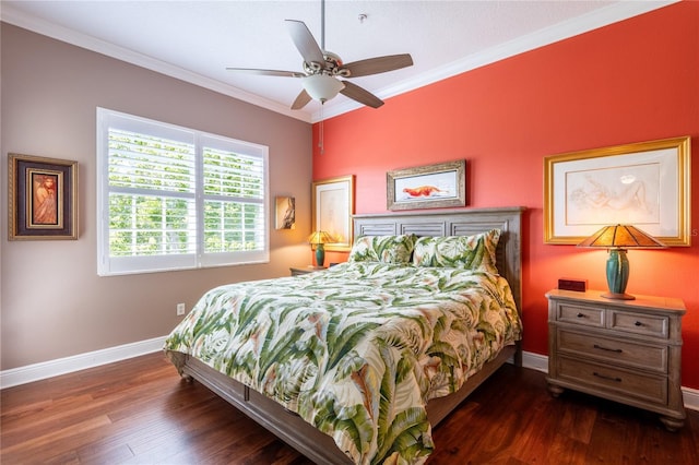 21032 Picasso Ct Unit K201, Land O Lakes, FL 34637 - photo 19
