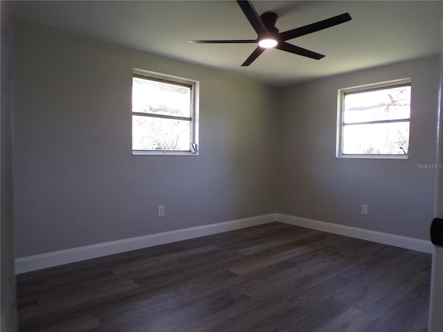 1244 Byron Ave, Clearwater, FL 33756 - photo 14