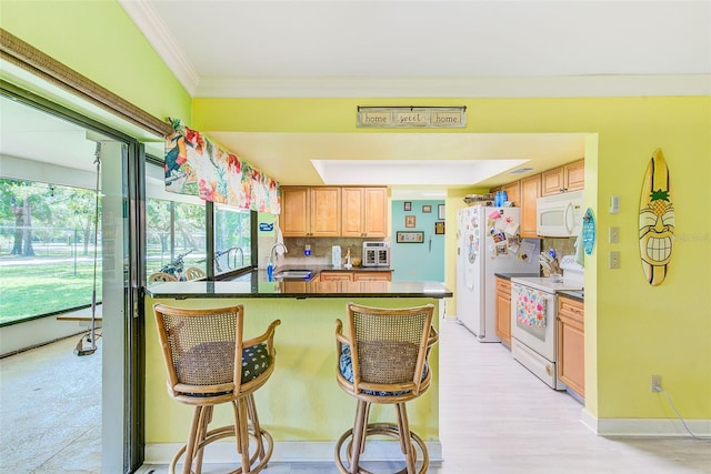 3104 Hillside Ln, Safety Harbor, FL 34695 - photo 14