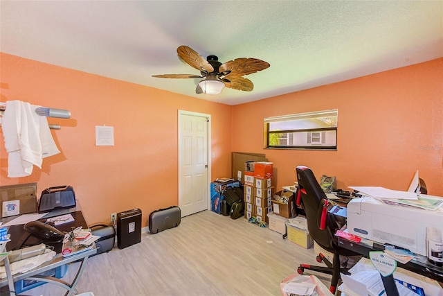 3104 Hillside Ln, Safety Harbor, FL 34695 - photo 23