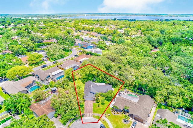 3104 Hillside Ln, Safety Harbor, FL 34695 - photo 48