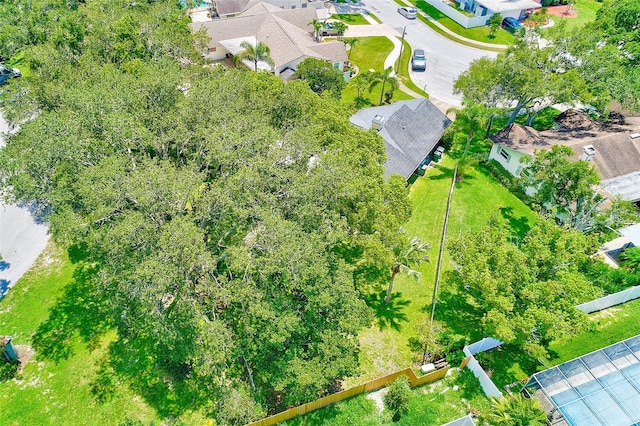 3104 Hillside Ln, Safety Harbor, FL 34695 - photo 51