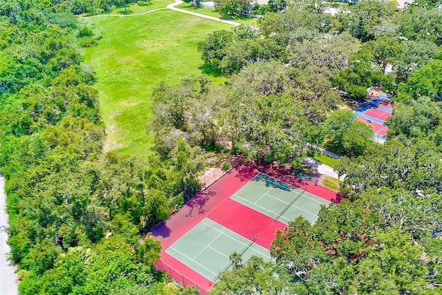 3104 Hillside Ln, Safety Harbor, FL 34695 - photo 53