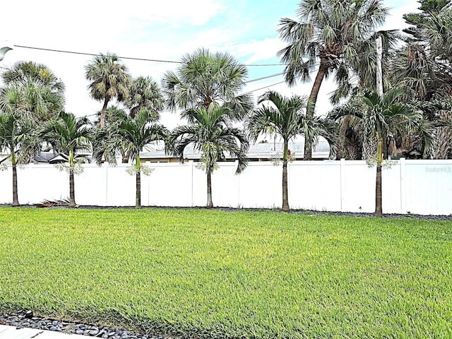 450 82nd Ave, St Pete Beach, FL 33706 - view of yard