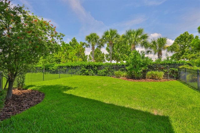 6215 Voyagers Pl, Apollo Beach, FL 33572 - view of fenced backyard