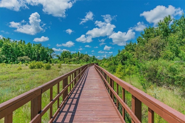 1998 Hovenweep Rd, Wesley Chapel, FL 33543 - photo 40