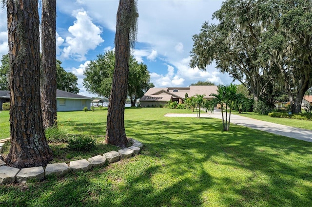 3539 Lake Padgett Dr, Land O Lakes, FL 34639 - view of green lawn