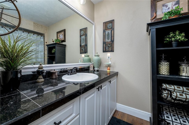 3539 Lake Padgett Dr, Land O Lakes, FL 34639 - bathroom with vanity and wood finished floors