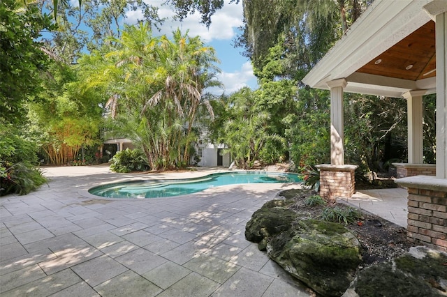 3515 Gallagher Rd, Dover, FL 33527 - photo 72