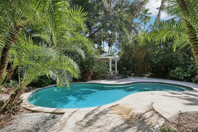 3515 Gallagher Rd, Dover, FL 33527 - photo 76