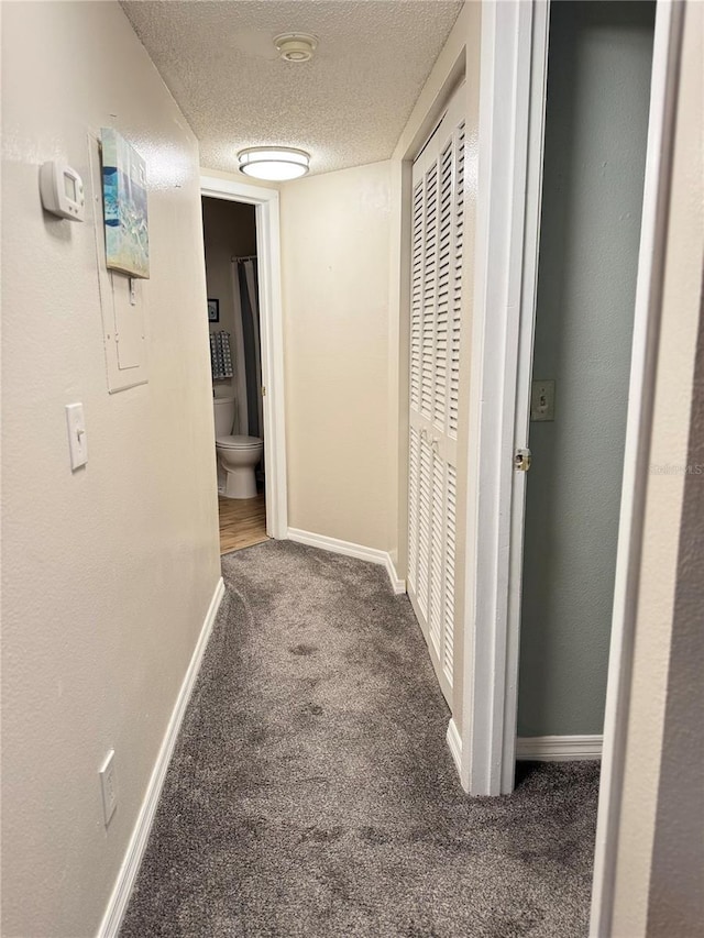 1550 S Belcher Rd Unit 335, Clearwater, FL 33764 - hall featuring carpet floors and a textured ceiling