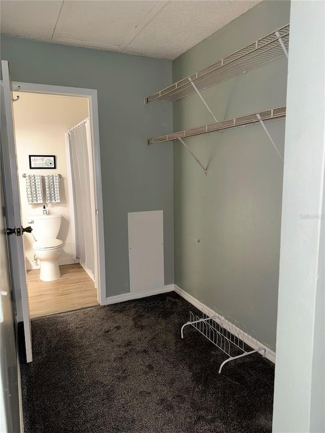 1550 S Belcher Rd Unit 335, Clearwater, FL 33764 - spacious closet featuring carpet floors