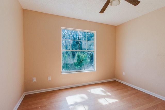 7804 Wilmar Ct, Port Richey, FL 34668 - photo 32