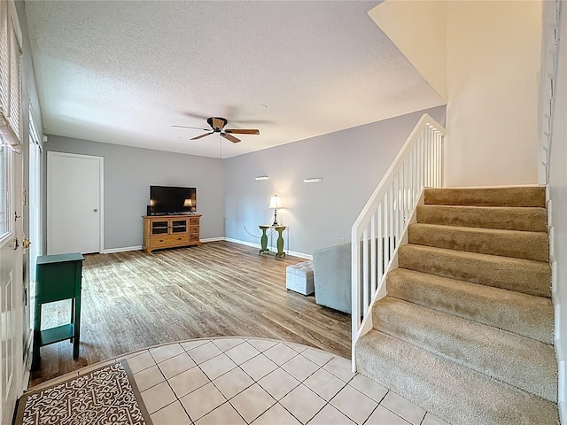 738 1st Ct, Palm Harbor, FL 34684 - photo 12