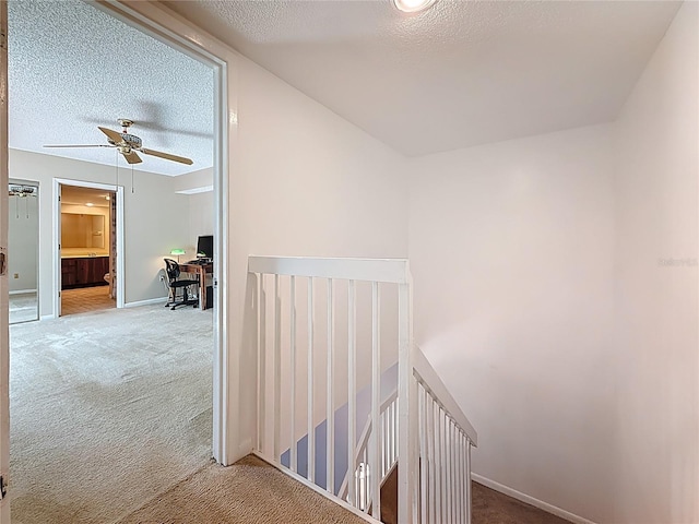 738 1st Ct, Palm Harbor, FL 34684 - photo 31