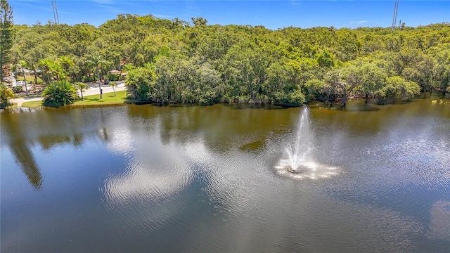 738 1st Ct, Palm Harbor, FL 34684 - photo 64