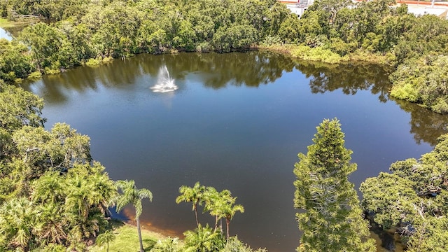 738 1st Ct, Palm Harbor, FL 34684 - photo 66
