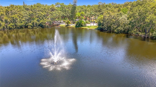 738 1st Ct, Palm Harbor, FL 34684 - photo 68