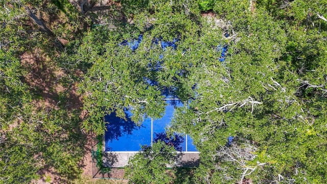 738 1st Ct, Palm Harbor, FL 34684 - photo 70