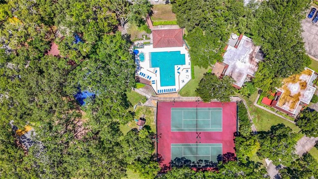 738 1st Ct, Palm Harbor, FL 34684 - photo 71