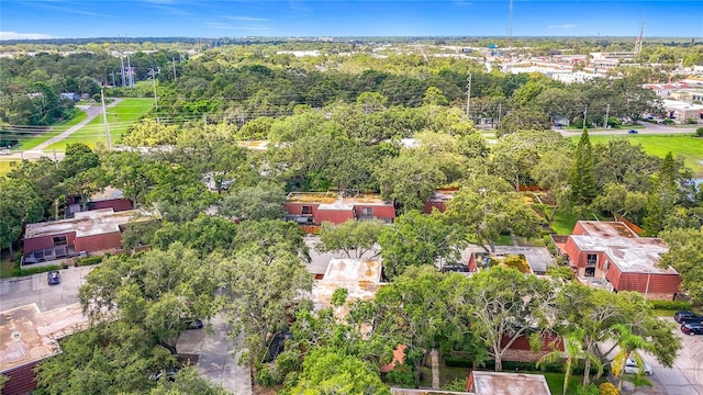 738 1st Ct, Palm Harbor, FL 34684 - photo 73