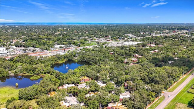 738 1st Ct, Palm Harbor, FL 34684 - photo 74