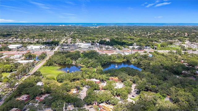 738 1st Ct, Palm Harbor, FL 34684 - photo 75