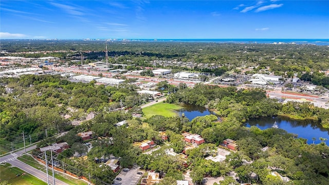 738 1st Ct, Palm Harbor, FL 34684 - photo 76