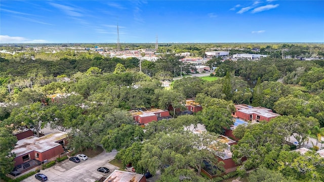 738 1st Ct, Palm Harbor, FL 34684 - photo 77