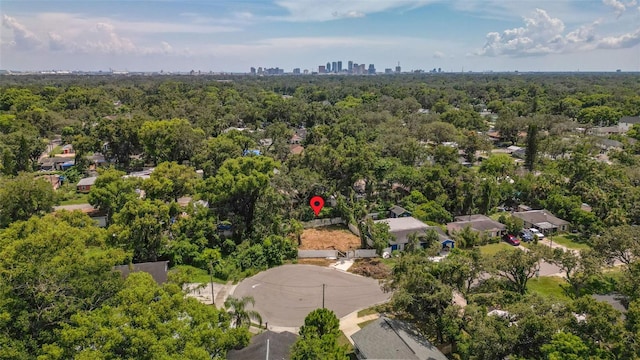 1911 E Mcberry St, Tampa, FL 33610