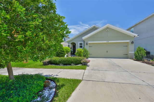 10214 Mangrove Well Rd, Sun City Center, FL 33573 - photo 1