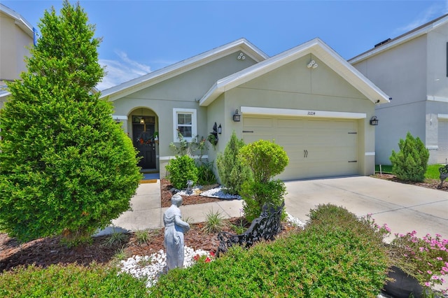10214 Mangrove Well Rd, Sun City Center, FL 33573 - photo 2