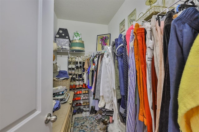 10214 Mangrove Well Rd, Sun City Center, FL 33573 - photo 20