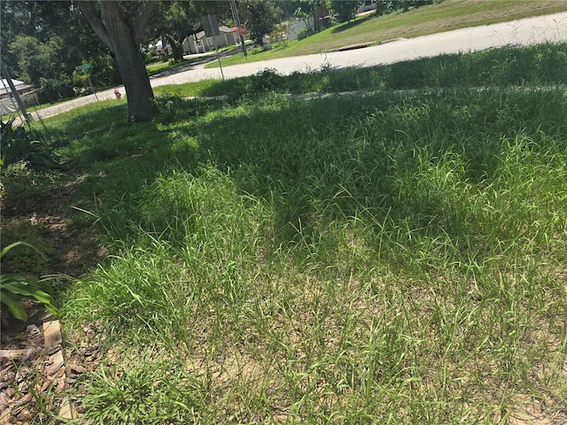 3696 Wellington Pl, Bartow, FL 33830 - photo 34