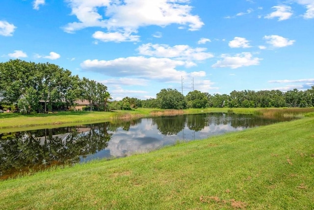 16224 Bridgepark Dr, Lithia, FL 33547 - photo 41