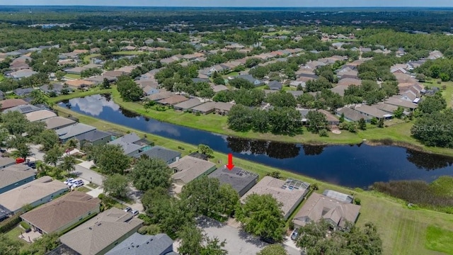 16224 Bridgepark Dr, Lithia, FL 33547 - photo 49