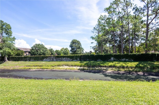 16563 Brigadoon Dr, Tampa, FL 33618 - photo 30