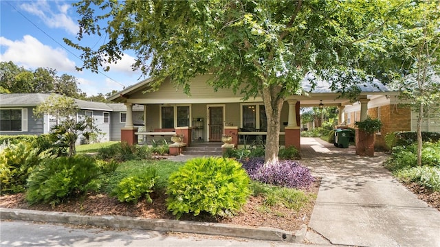 1207 E Powhatan Ave, Tampa, FL 33604 - photo 4