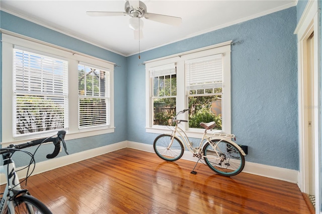 1207 E Powhatan Ave, Tampa, FL 33604 - photo 33