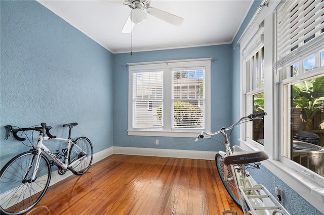 1207 E Powhatan Ave, Tampa, FL 33604 - photo 48