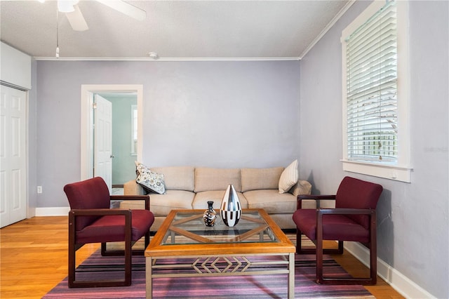1207 E Powhatan Ave, Tampa, FL 33604 - photo 67