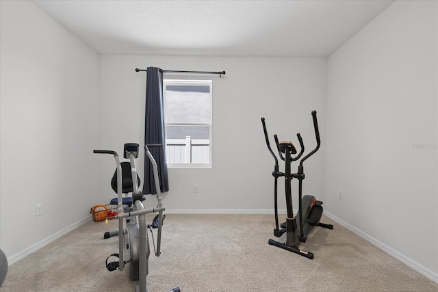 16612 Goose Ribbon Pl, Wimauma, FL 33598 - photo 29
