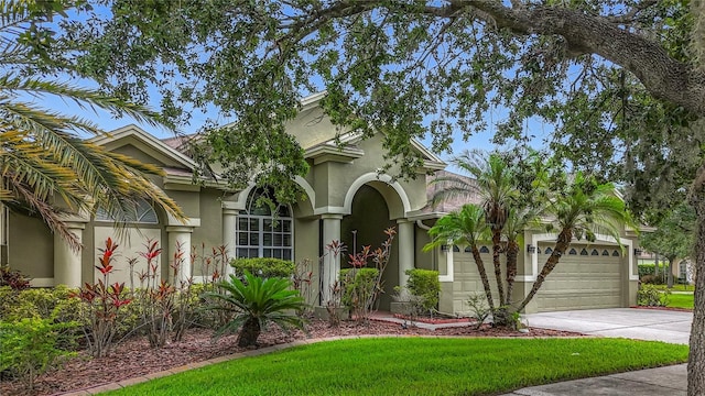 20626 Longleaf Pine Ave, Tampa, FL 33647 - photo 1