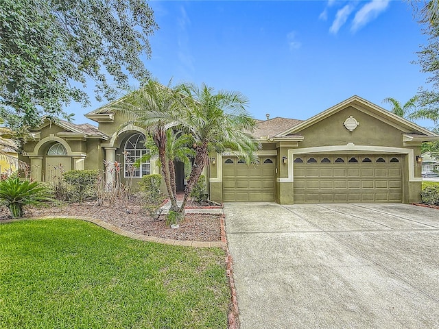 20626 Longleaf Pine Ave, Tampa, FL 33647 - photo 2
