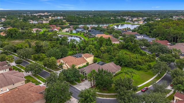 20626 Longleaf Pine Ave, Tampa, FL 33647 - photo 3