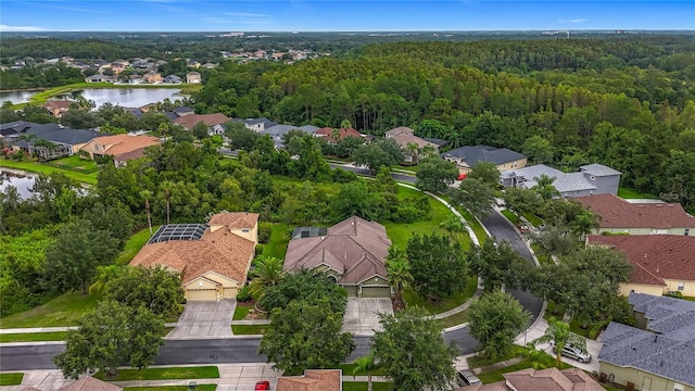 20626 Longleaf Pine Ave, Tampa, FL 33647 - photo 4