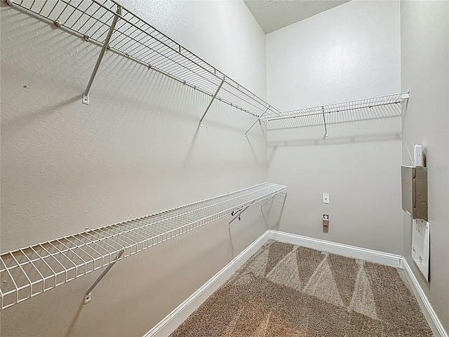 20626 Longleaf Pine Ave, Tampa, FL 33647 - photo 43