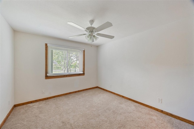 8764 Baywood Park Dr, Seminole, FL 33777 - photo 32